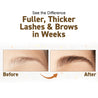 Eyelash & Eyebrow Growth Oil (Pack of 2) - Rawls Essentials