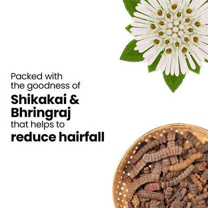 Hairfall Control Shampoo - 250 ml - Rawls Essentials