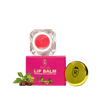Lip Balm ( Lip Moisturizer ) - 7 gm - Rawls Essentials